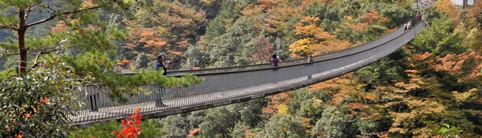 五家荘(梅ノ木轟公園吊橋)